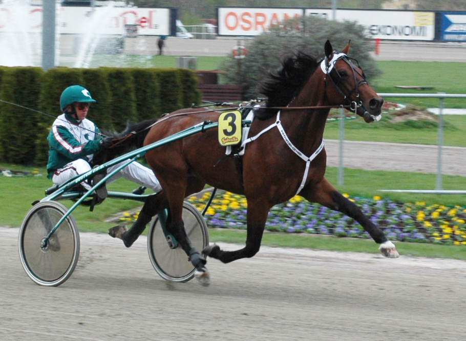 Maharajah i sin f&ouml;rsta seger p&aring; valborgsm&auml;ssoafton 2008. I sulkyn &Ouml;rjan Kihlstr&ouml;m. Foto: A.Lindblom